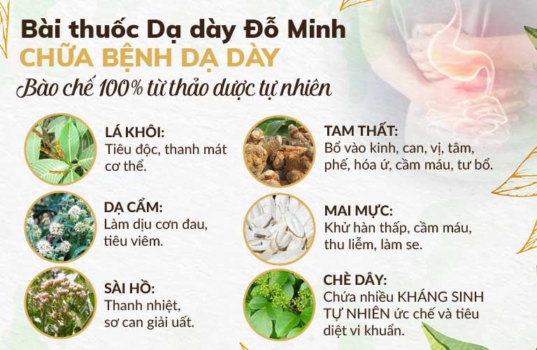 Thuốc Nam Trị Đau Dạ Dày: Giải Pháp Từ Thiên Nhiên Cho Sức Khỏe