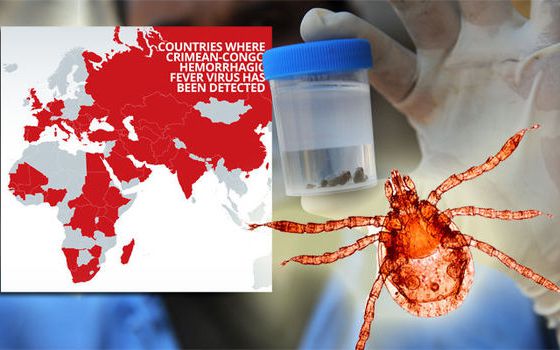 Nga tìm ra chủng bệnh sốt xuất huyết Crimean-Congo mới nguy hiểm