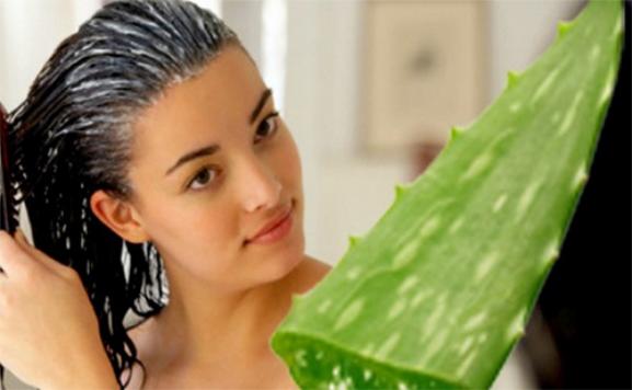 18 cách trị rụng tóc tại nhà nhanh nhất từ nguyên liệu thiên nhiên
