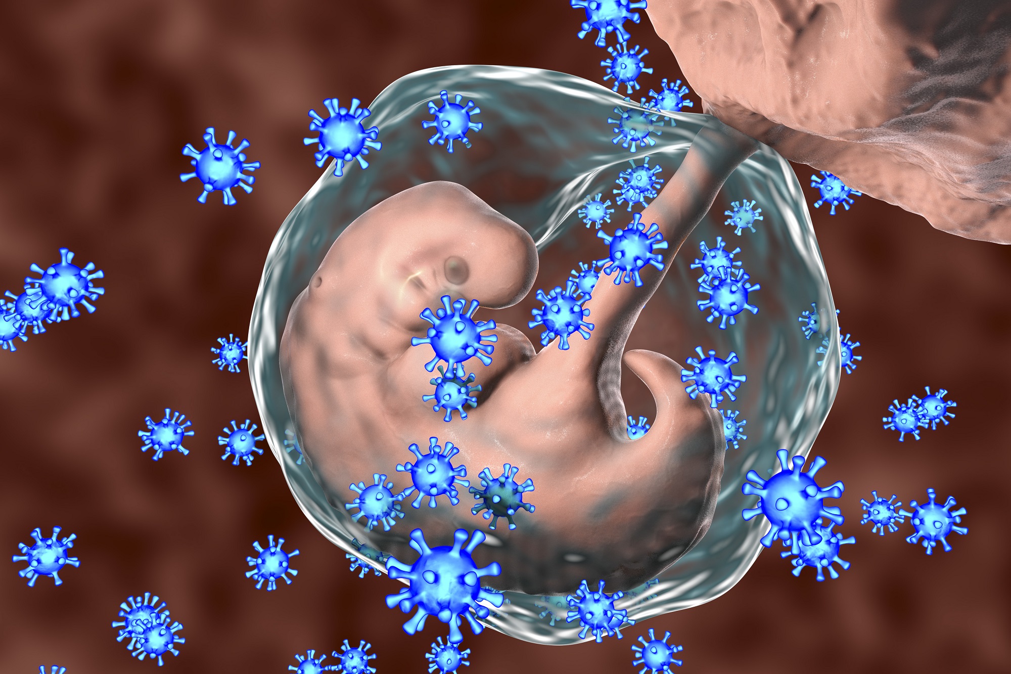 Lợi ích và rủi ro khi tiêm vaccine viêm gan B cho phụ nữ có thai - Ảnh 1.