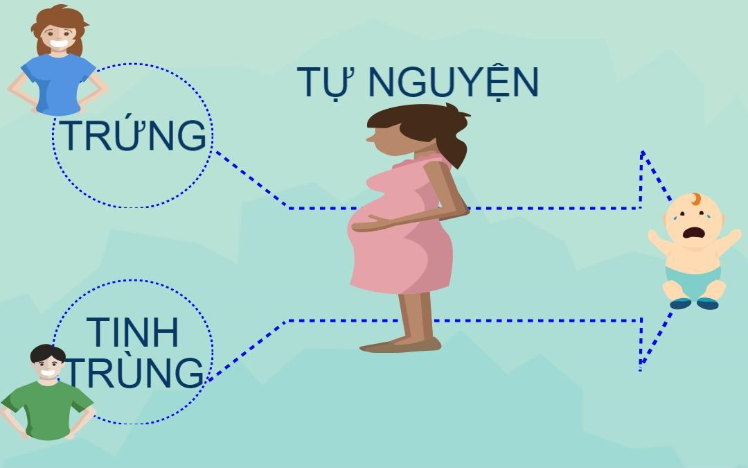 Kiểm tra, giám sát, ngăn chặn mang thai hộ vì mục đích thương mại