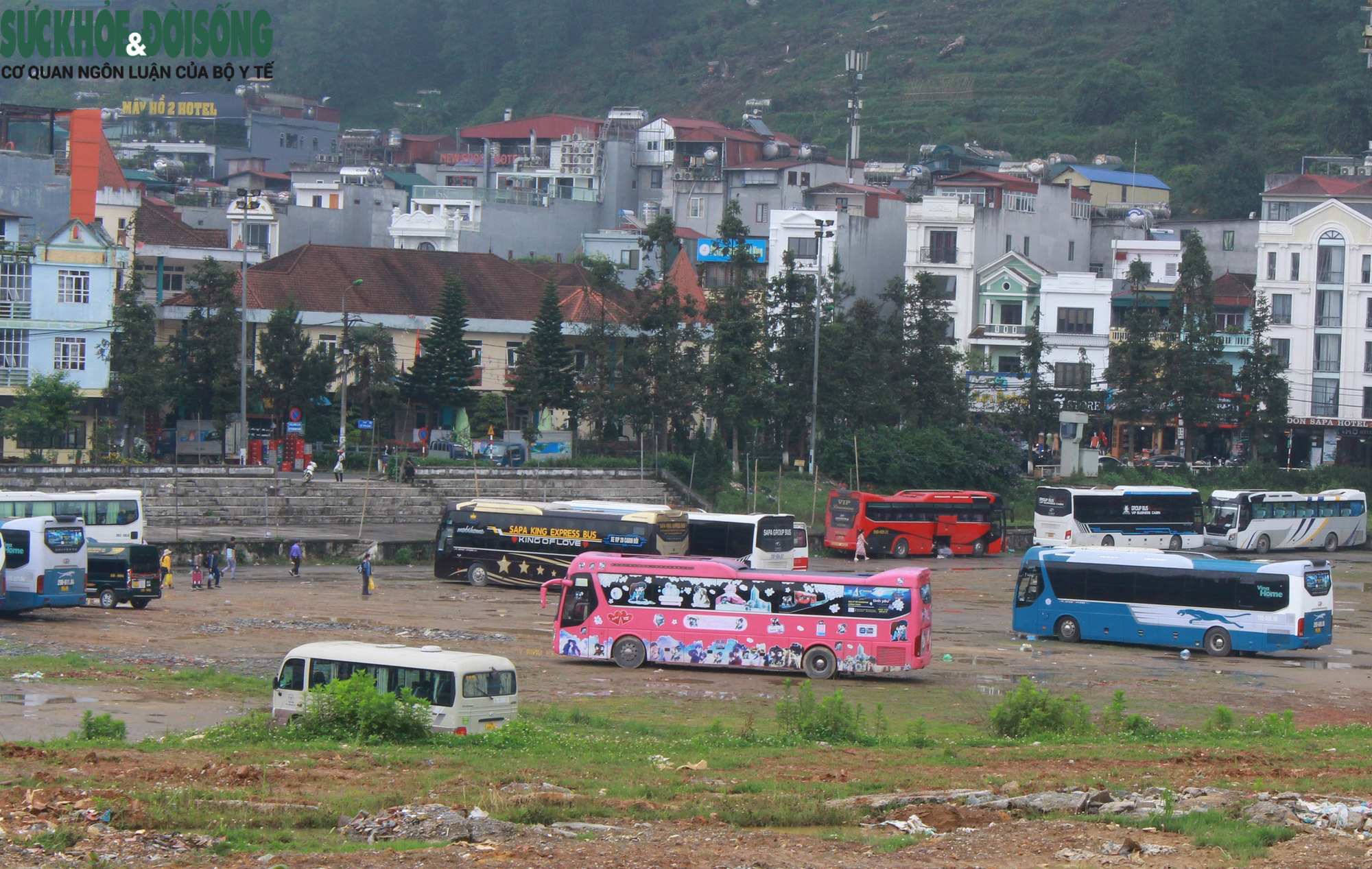 Sau khi bị xử phạt, xe khách gắn biển số Lào tiếp tục hoạt động ‘chui’ ở Việt Nam - Ảnh 2.