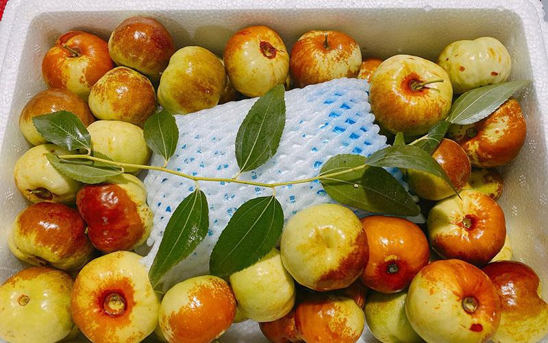Hồng táo tươi đầu mùa giá gần nửa triệu đồng 1 hộp vẫn đắt khách- Ảnh 4.