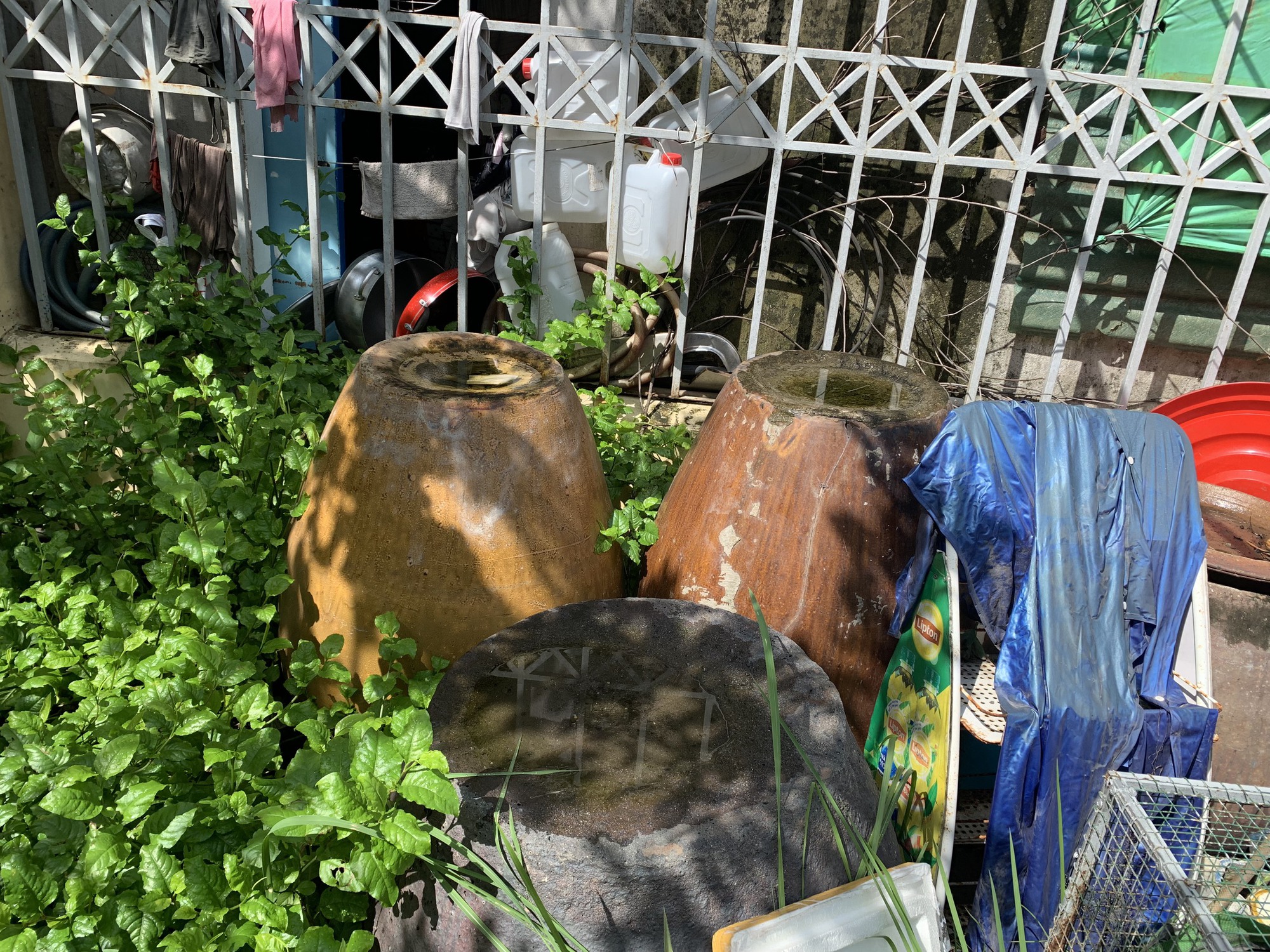 Bộ Y tế: Ca COVID-19 và sốt xuất huyết có thể tăng, bùng phát diện rộng, kiên quyết không để dịch chồng dịch - Ảnh 1.