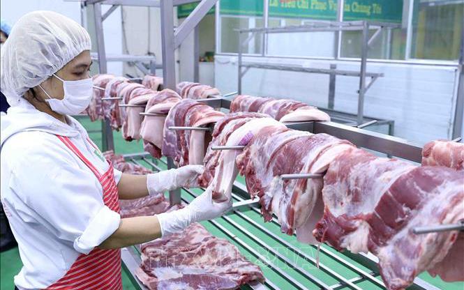 Giá thịt lợn tăng cao, Phó Thủ tướng chỉ đạo thực hiện các biện pháp bình ổn
