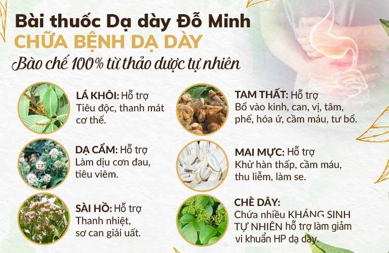 Chữa đau dạ dày bằng bài thuốc dân gian đơn giản, dễ thực hiện - Ảnh 3.