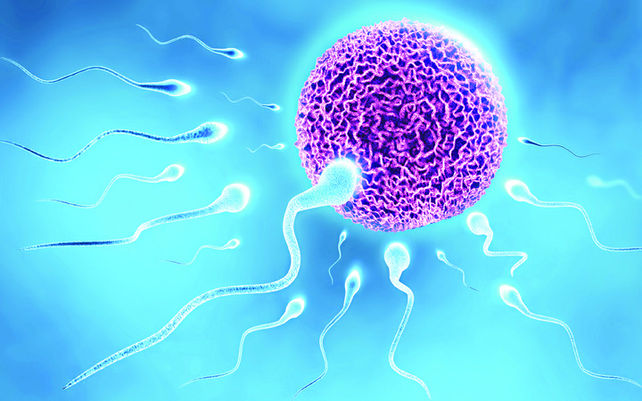 Cách cải thiện chất lượng tinh trùng và khả năng sinh sản của nam giới