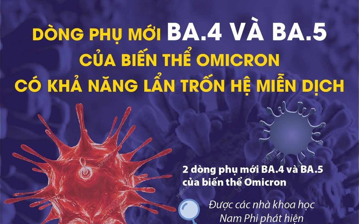 Hà Nội, TP HCM đã có ca COVID-19 nhiễm biến thể phụ BA.4, BA.5: Các chuyên gia khuyến cáo gì?