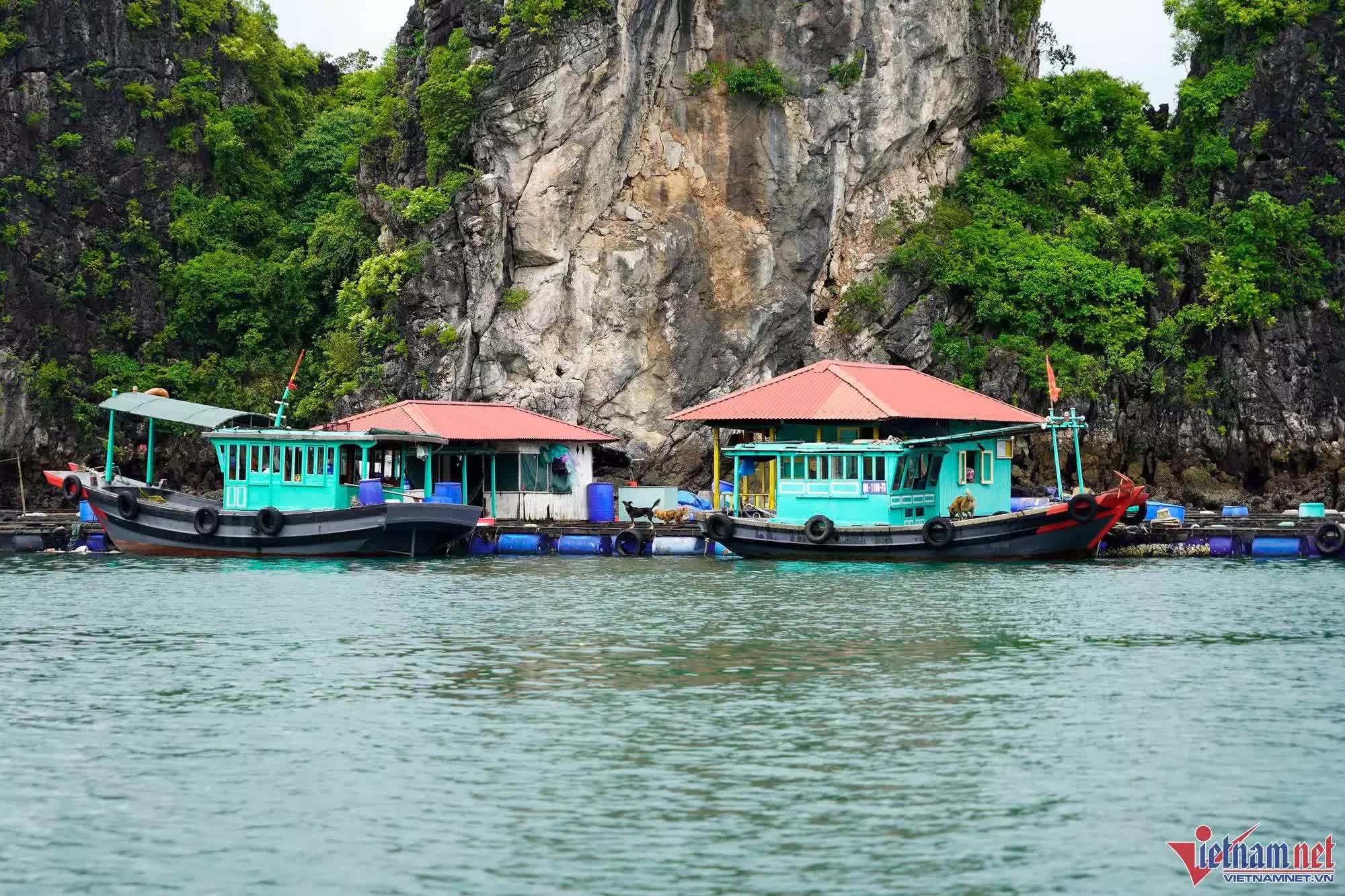 Diễn biến mới nhất về bão số 2: Hà Nội đón mưa đỉnh điểm, 15 máy bay, 127 xe đặc chủng được huy động để ứng phó - Ảnh 4.