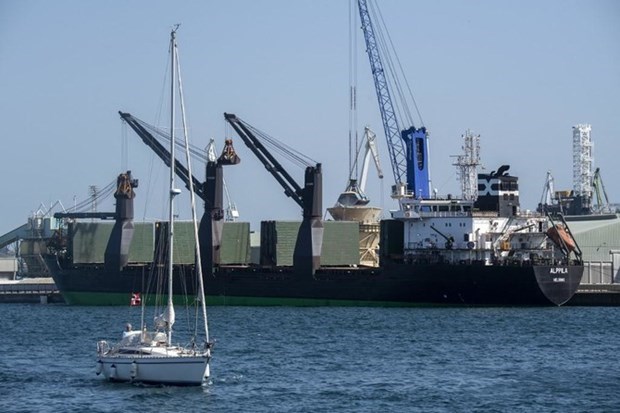 12 tàu được phép rời cảng Ukraine theo thỏa thuận xuất khẩu ngũ cốc - Ảnh 1.