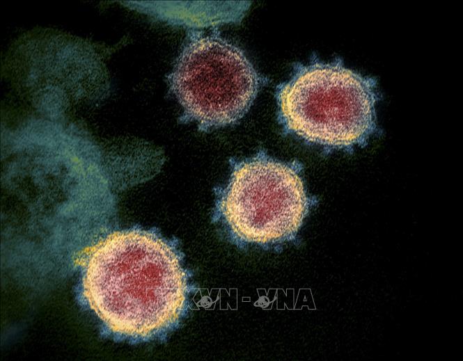 Phát hiện chủng virus SARS-CoV-2 lai giữa biến thể Omicron và biến thể Delta - Ảnh 1.