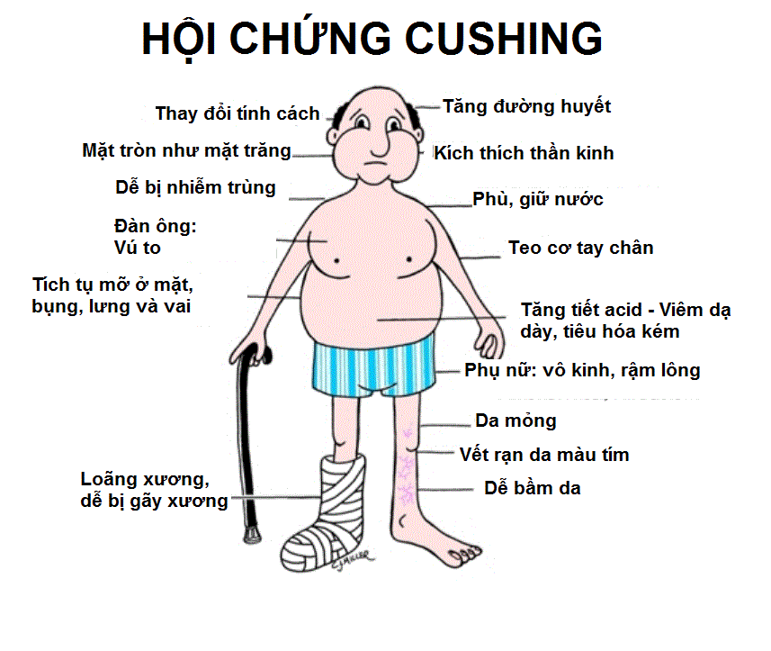 Suy tuyến thượng thận do dùng thuốc bổ thận tráng dương - Ảnh 5.