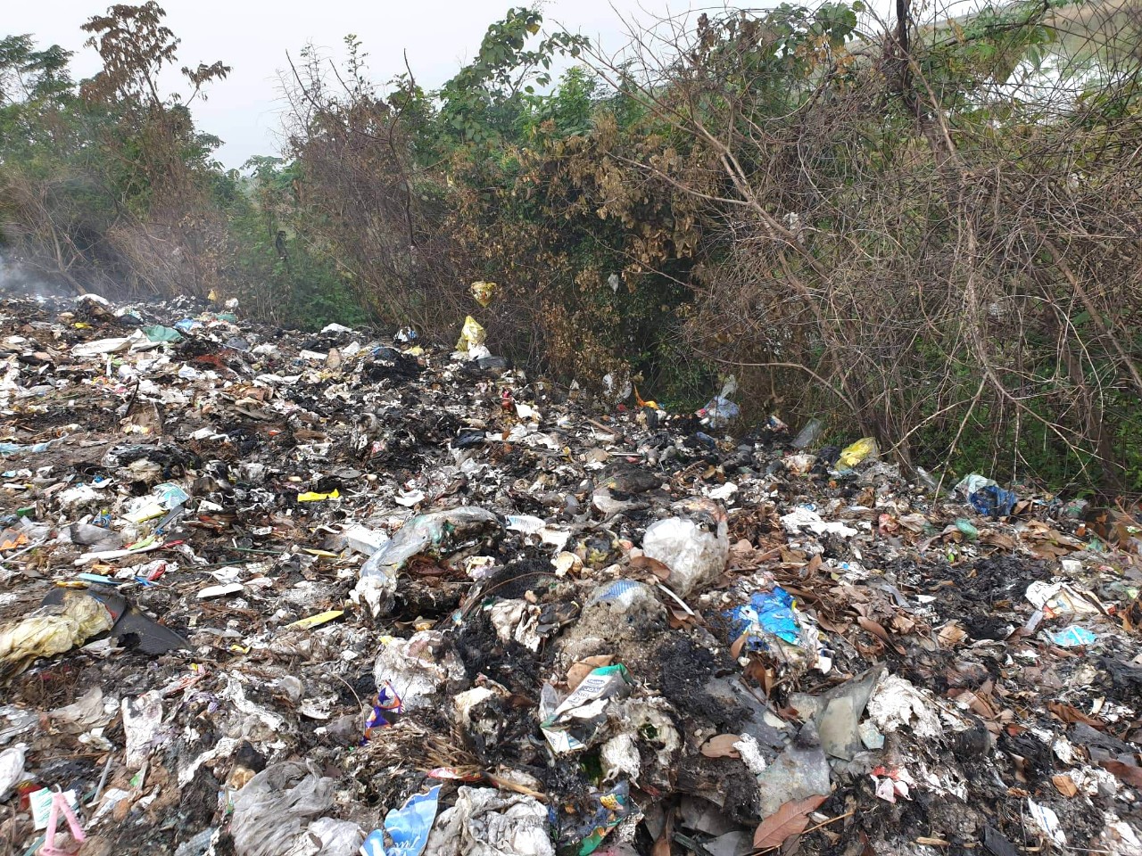 Sự lụt lội của rác thải nhựa là một nỗi lo lớn, hãy xem ảnh để chứng kiến sự xâm nhập của nó vào tự nhiên và ảnh hưởng đến đời sống con người.
