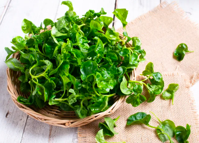 5 loại rau lá xanh tốt nhất giúp giảm mỡ bụng và làm chậm lão hóa - Ảnh 5.
