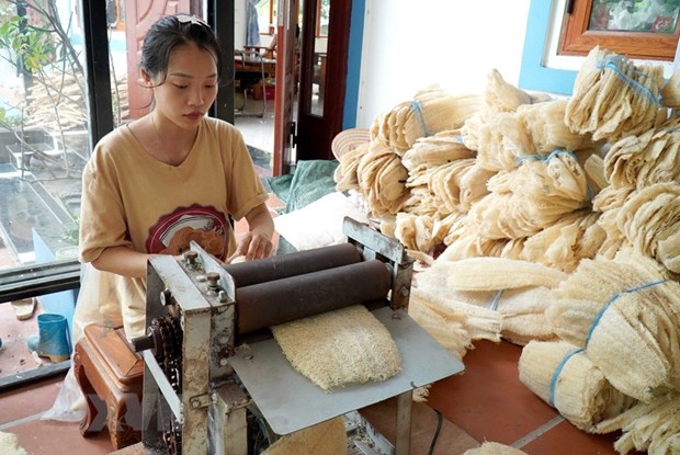 Nông dân Bắc Ninh kiếm tiền tỉ nhờ những sản phẩm làm từ xơ mướp - Ảnh 2.