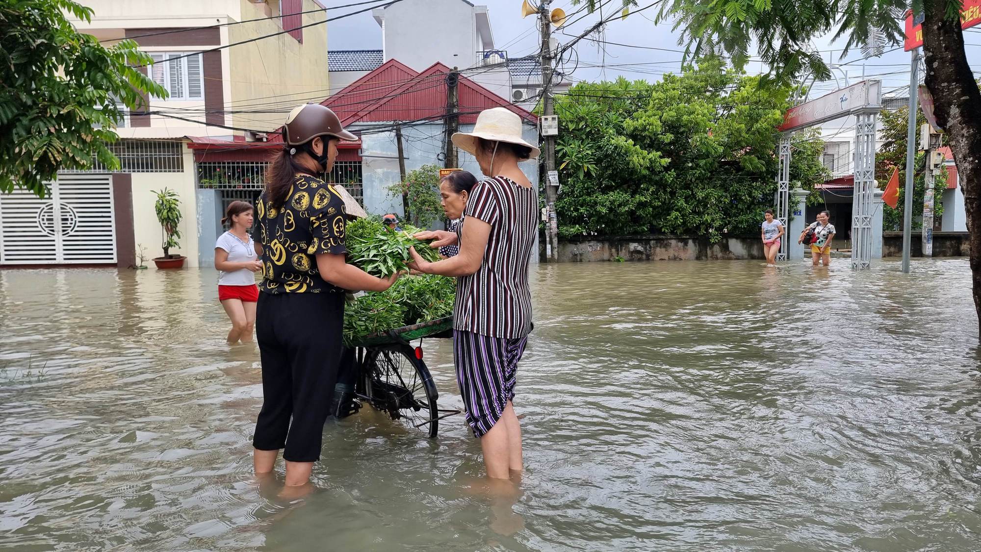 Cận cảnh người Hải Phòng, Quảng Ninh, Hải Dương vật lộn với ngập lụt  - Ảnh 10.