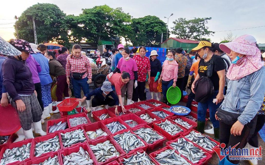 Thoát nỗi ám ảnh xăng dầu, ngư dân hào hứng ra khơi thu về trăm triệu