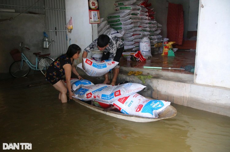 Cận cảnh vùng ngập lụt Chương Mỹ giữa Thủ đô Hà Nội - Ảnh 11.