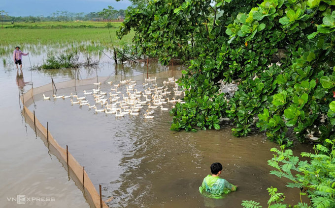 Cận cảnh vùng ngập lụt Chương Mỹ giữa Thủ đô Hà Nội - Ảnh 13.