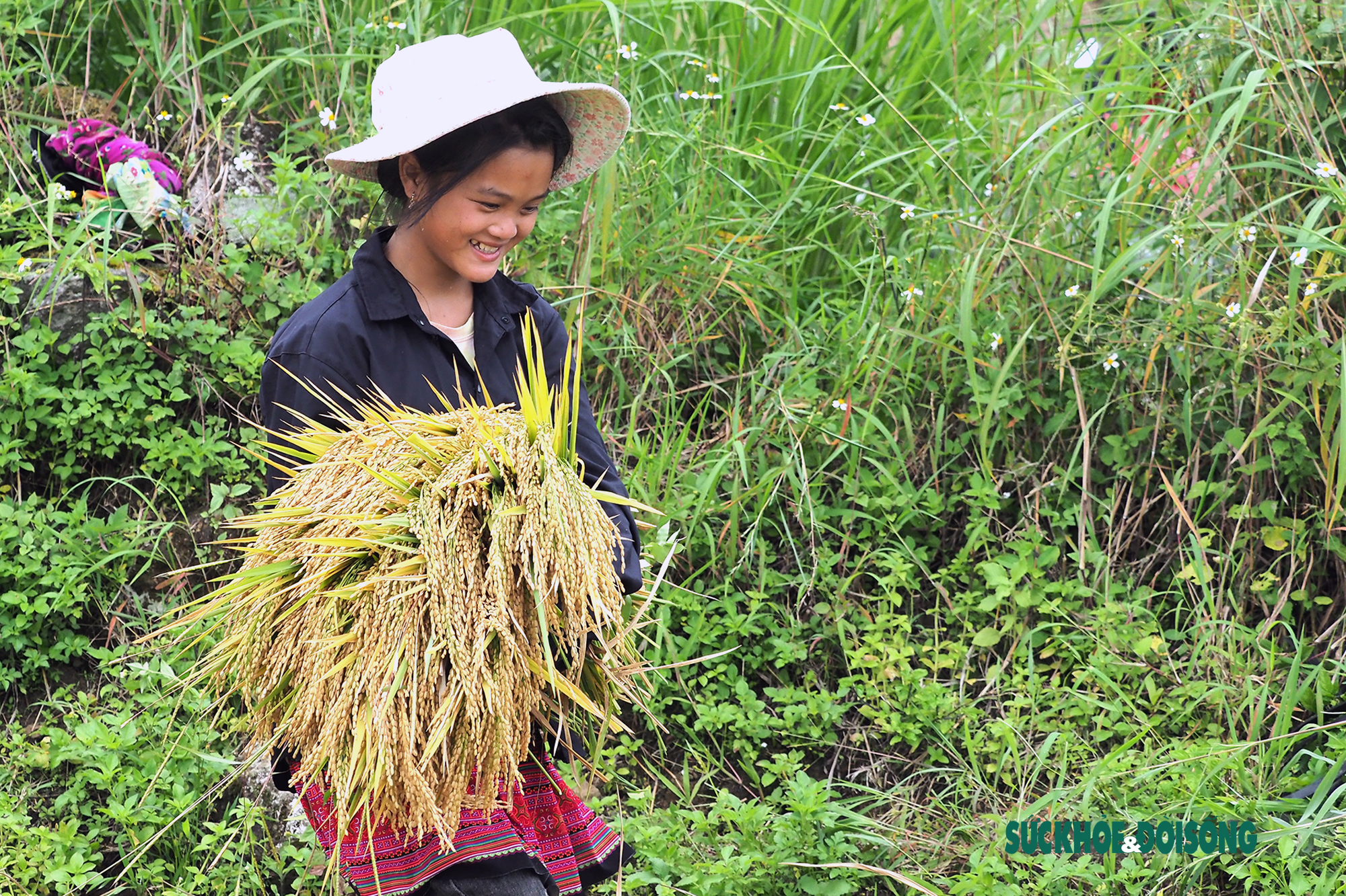 Rộn vang tiếng cười của bà con đồng bào dân tộc Mông trên cánh đồng lúa vàng óng - Ảnh 7.