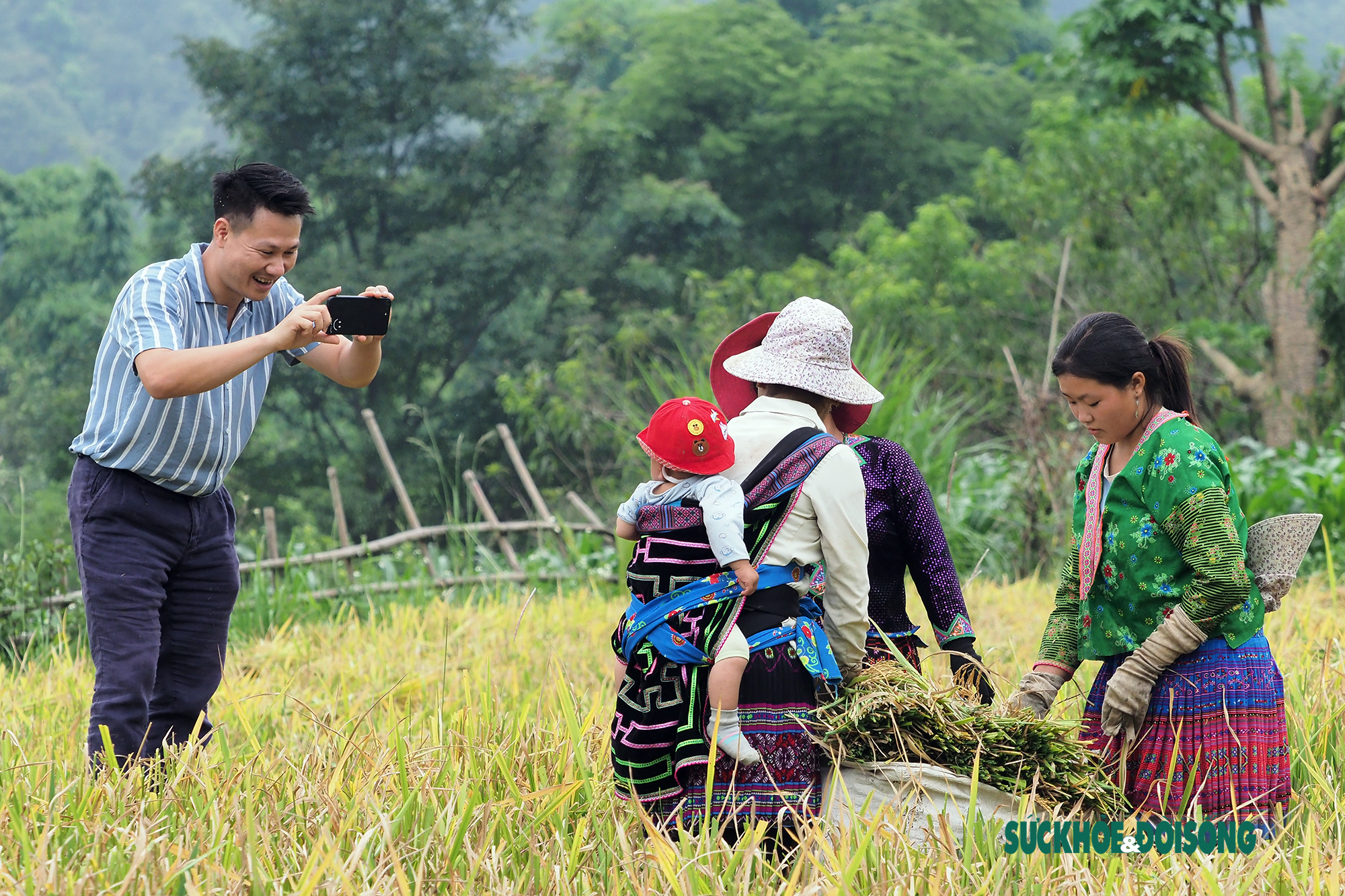 Rộn vang tiếng cười của bà con đồng bào dân tộc Mông trên cánh đồng lúa vàng óng - Ảnh 10.