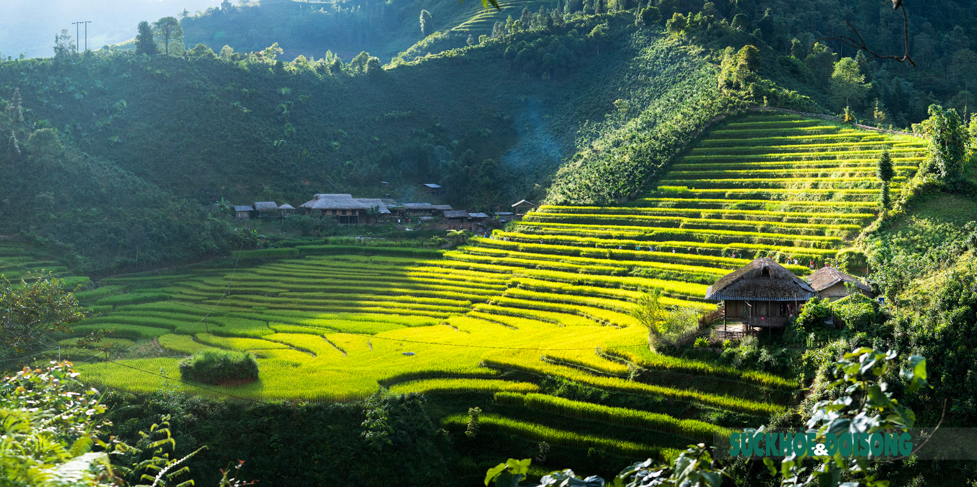 Lên cao nguyên trắng Bắc Hà tận hưởng hương cốm mùa thu vàng - Ảnh 6.