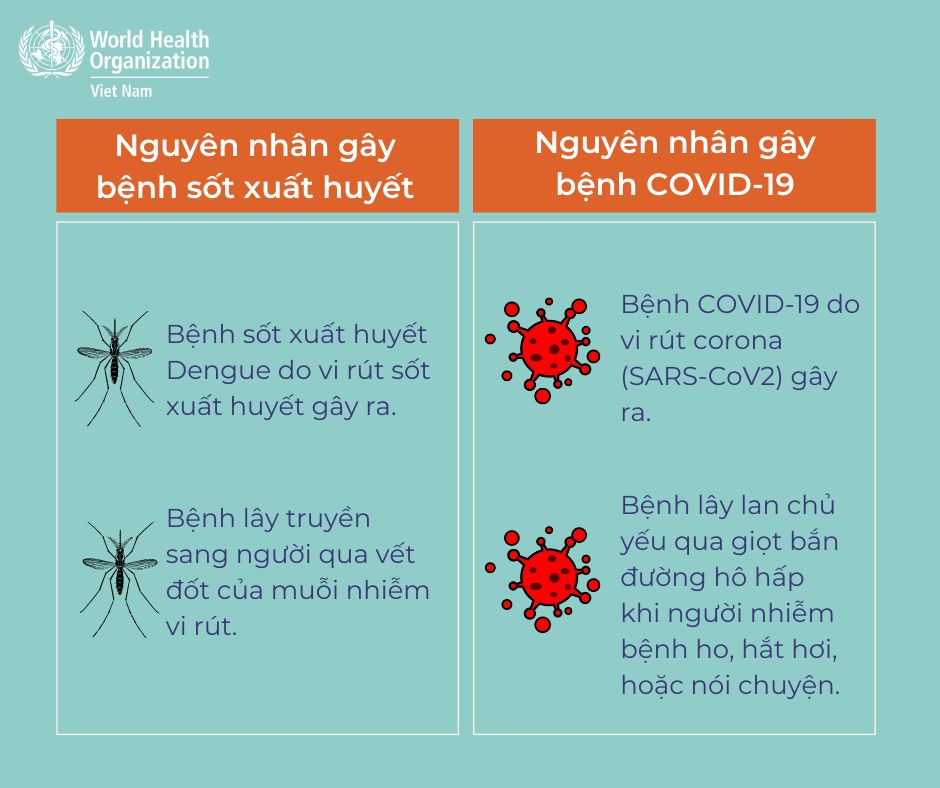 Đã có hơn 211.000 ca mắc sốt xuất huyết, 87 ca tử vong, cách phân biệt để tránh nhầm với COVID-19 - Ảnh 4.