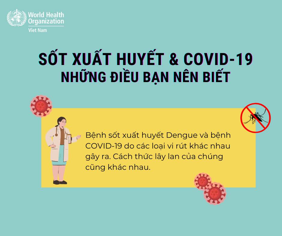 Đã có hơn 211.000 ca mắc sốt xuất huyết, 87 ca tử vong, cách phân biệt để tránh nhầm với COVID-19 - Ảnh 3.