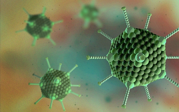 Adenovirus gây bệnh gì, cha mẹ cần làm gì khi trẻ mắc?