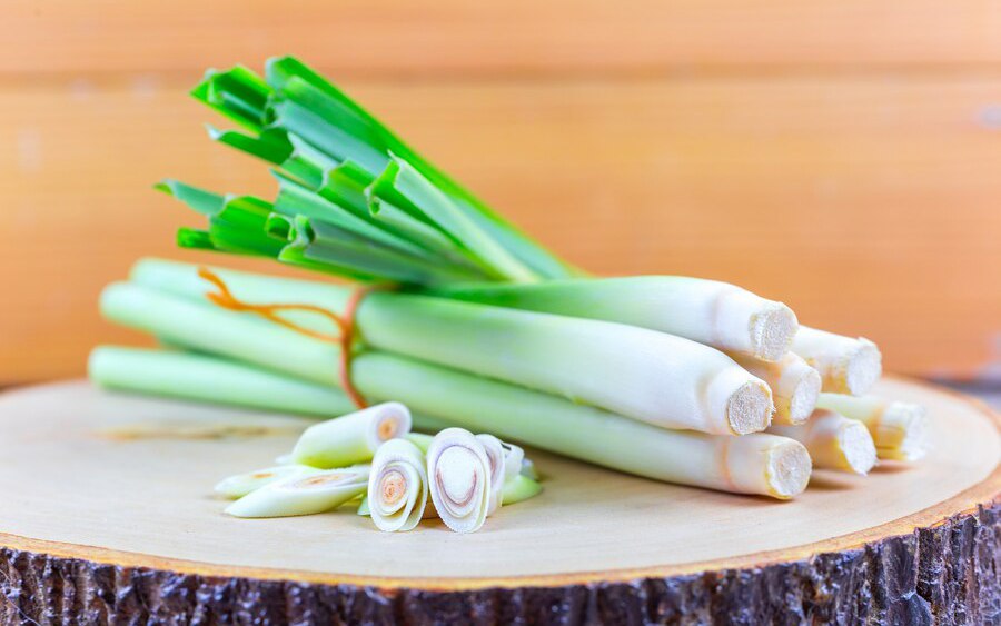 Củ sả chữa bệnh gì?- Ảnh 2.