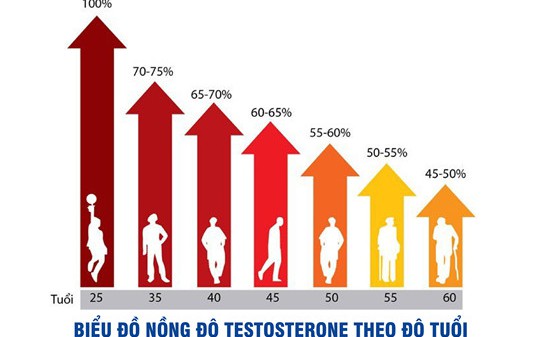 Bổ sung testosterone - Lợi ích và những nguy cơ tiềm ẩn