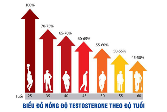 Bổ sung testosterone – Lợi ích và những nguy cơ tiềm ẩn - Ảnh 1.
