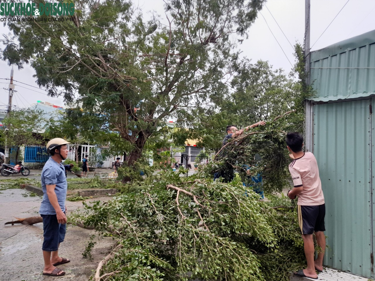 Đà Nẵng thiệt hại ra sao sau khi cơn bão Noru đổ bộ? - Ảnh 2.