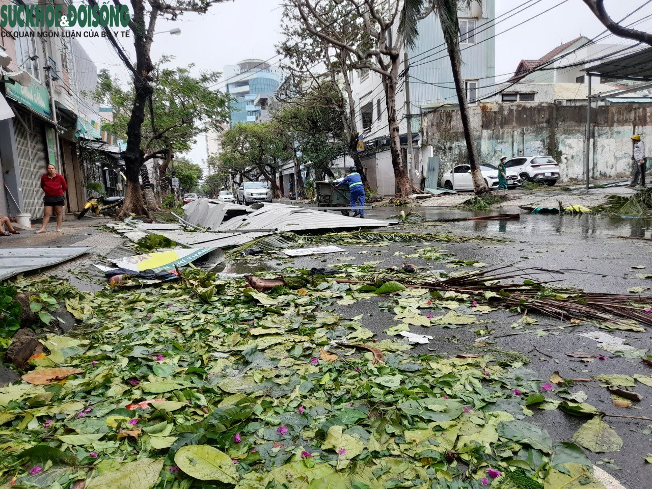 Đà Nẵng thiệt hại ra sao sau khi cơn bão Noru đổ bộ? - Ảnh 8.