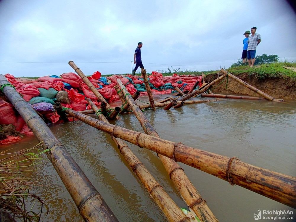 Cận cảnh vỡ đê ở Nghệ An, hàng trăm người dầm mưa xuyên đêm ứng cứu - Ảnh 4.