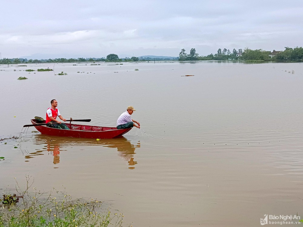 Cận cảnh vỡ đê ở Nghệ An, hàng trăm người dầm mưa xuyên đêm ứng cứu - Ảnh 7.
