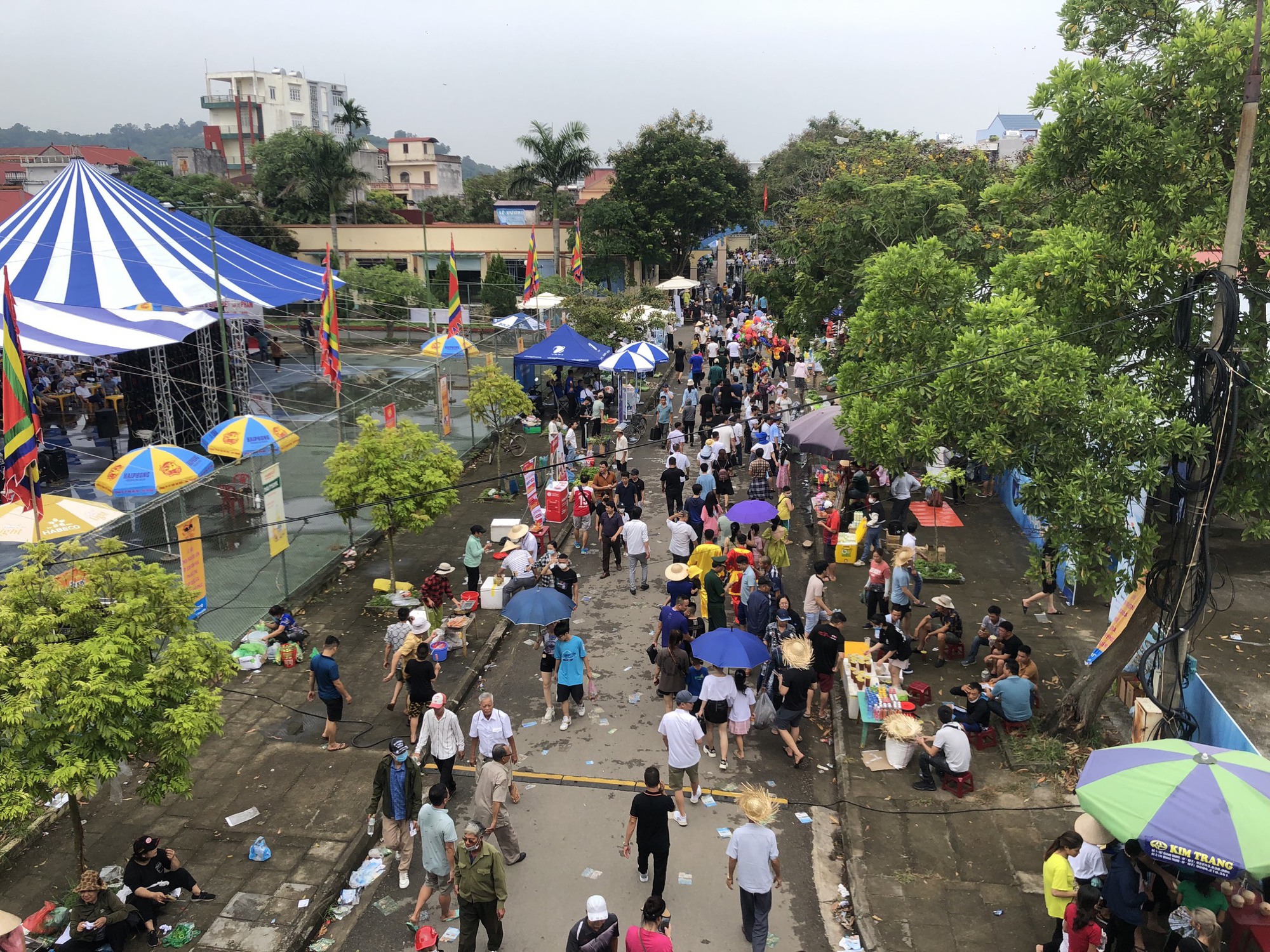 Chọi trâu Đồ Sơn Hải Phòng 2022: Gia cố hàng rào trong sân chọi, kiểm soát khu vực giết mổ  - Ảnh 6.