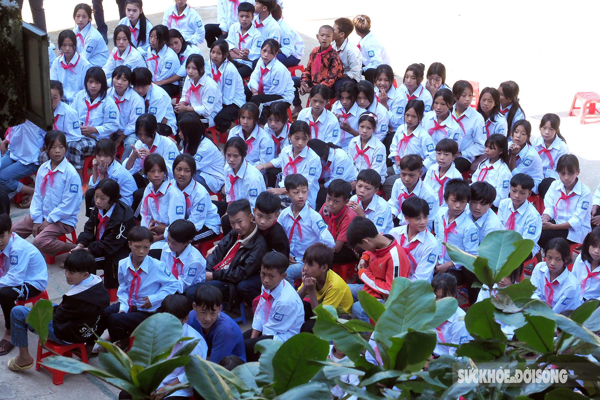 Gần 400 học sinh Trường Phổ thông dân tộc bán trú Pa Ủ, huyện Mường Tè được khám bệnh, cấp thuốc     - Ảnh 4.