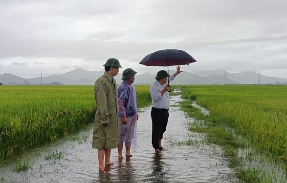 Nghệ An: Mưa lớn khiến nhiều địa phương bị ngập lụt, 1 học sinh bị nước cuốn mất tích          - Ảnh 5.