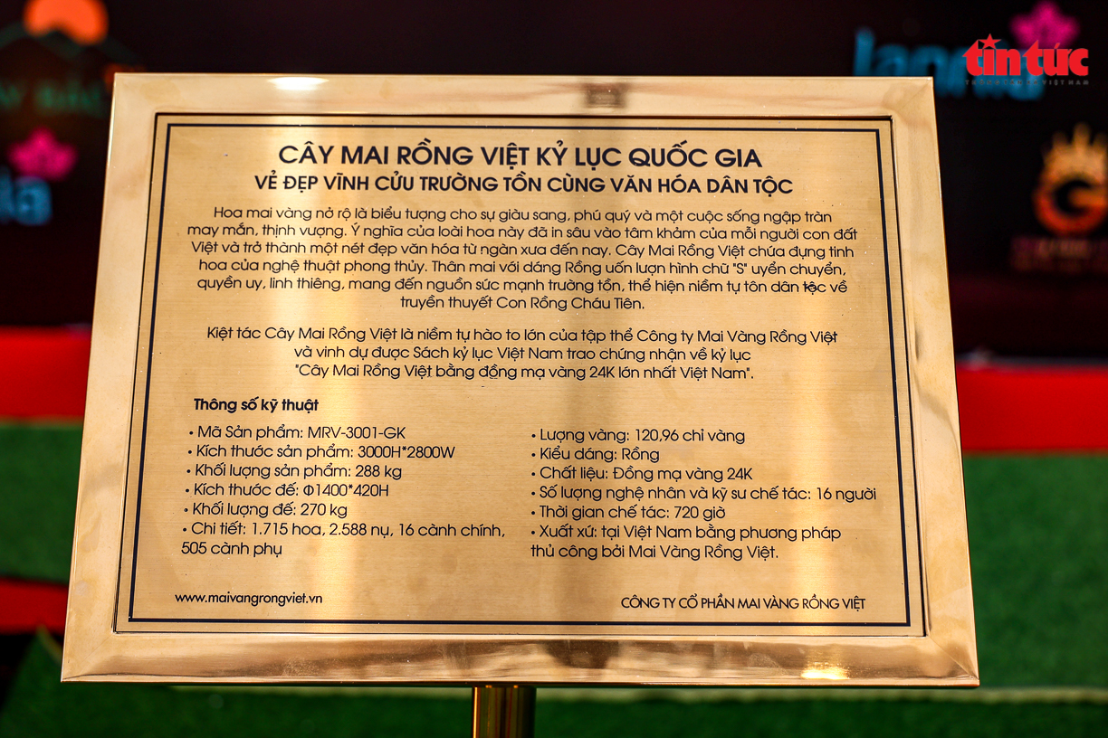 Mai mạ vàng tiền tỷ 'đổ bộ' chợ Tết Thủ đô - Ảnh 2.