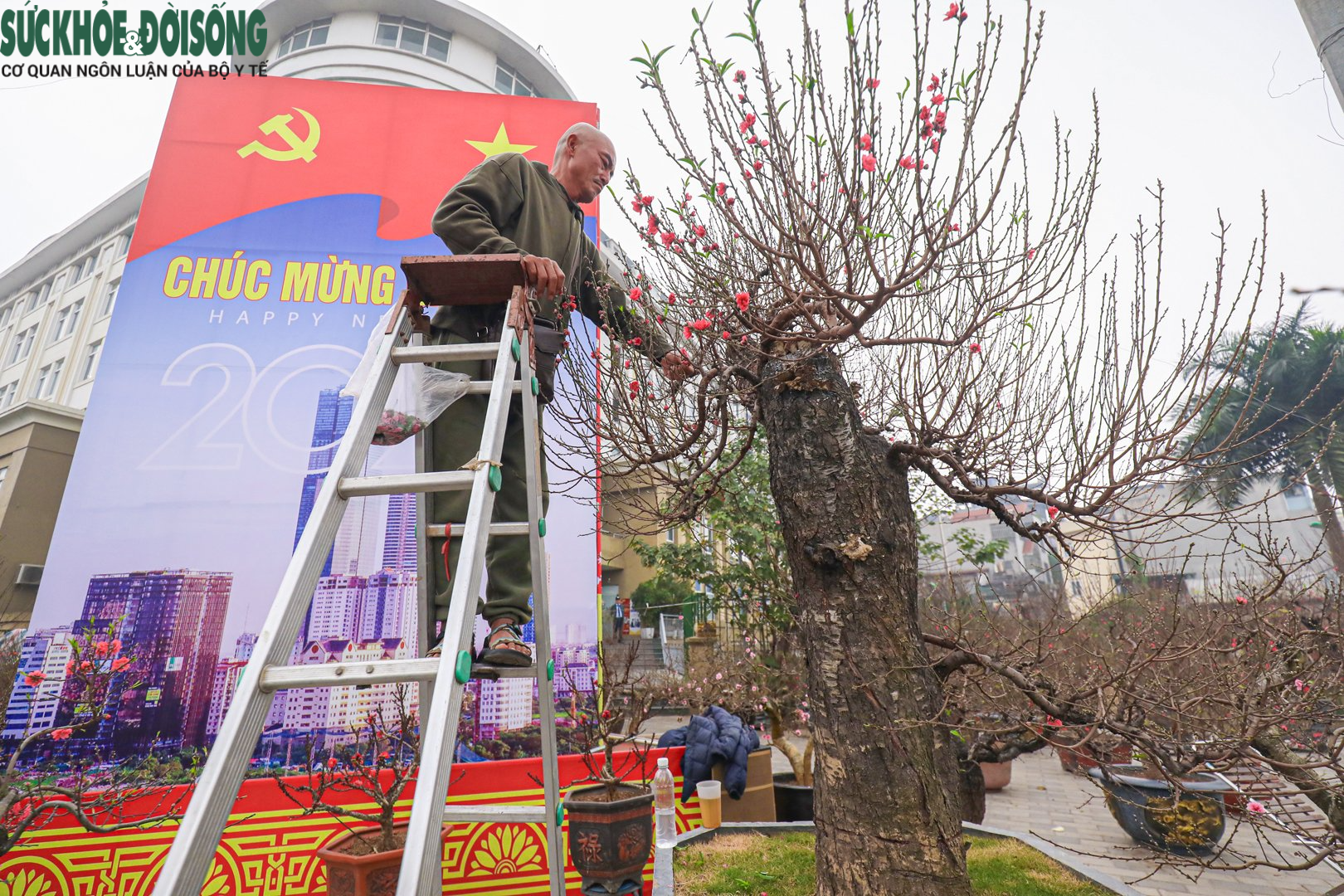 Nhiều &quot;siêu đào&quot; giá hàng chục, hàng trăm triệu đổ bộ xuống phố - Ảnh 1.