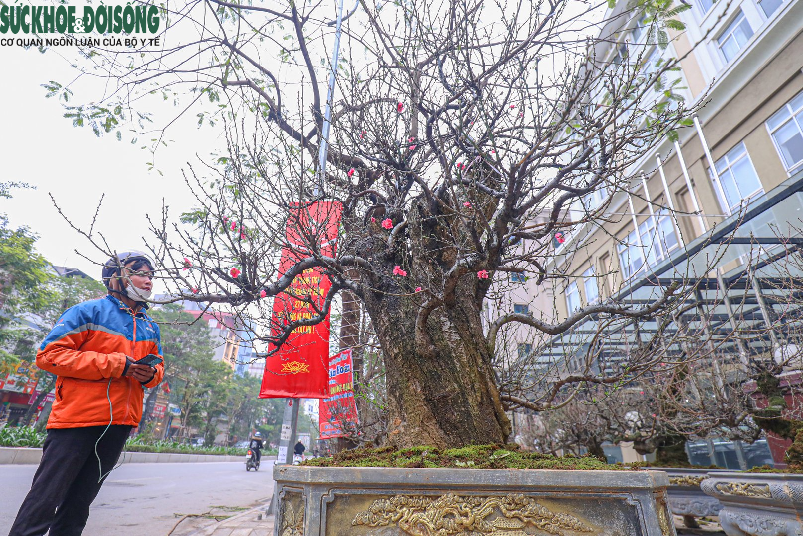 Nhiều &quot;siêu đào&quot; giá hàng chục, hàng trăm triệu đổ bộ xuống phố - Ảnh 4.