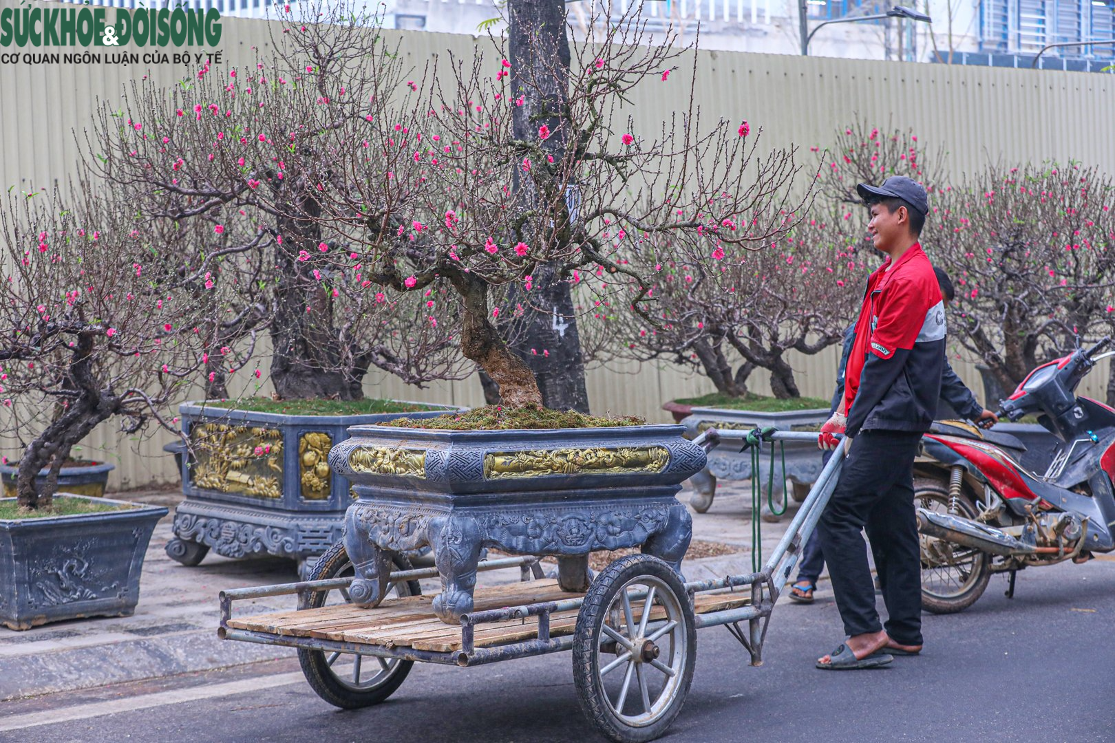 Nhiều &quot;siêu đào&quot; giá hàng chục, hàng trăm triệu đổ bộ xuống phố - Ảnh 12.