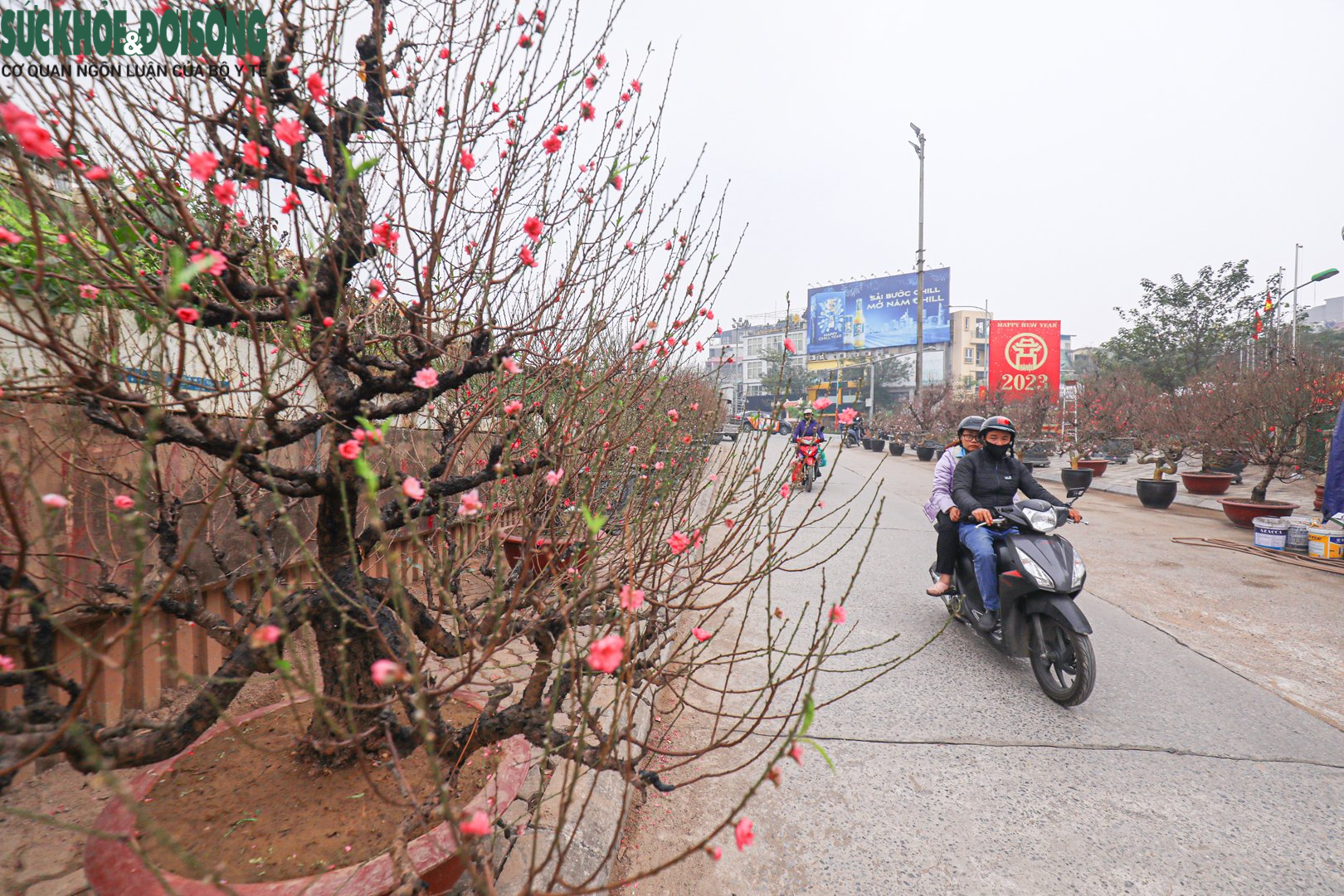 Nhiều &quot;siêu đào&quot; giá hàng chục, hàng trăm triệu đổ bộ xuống phố - Ảnh 13.