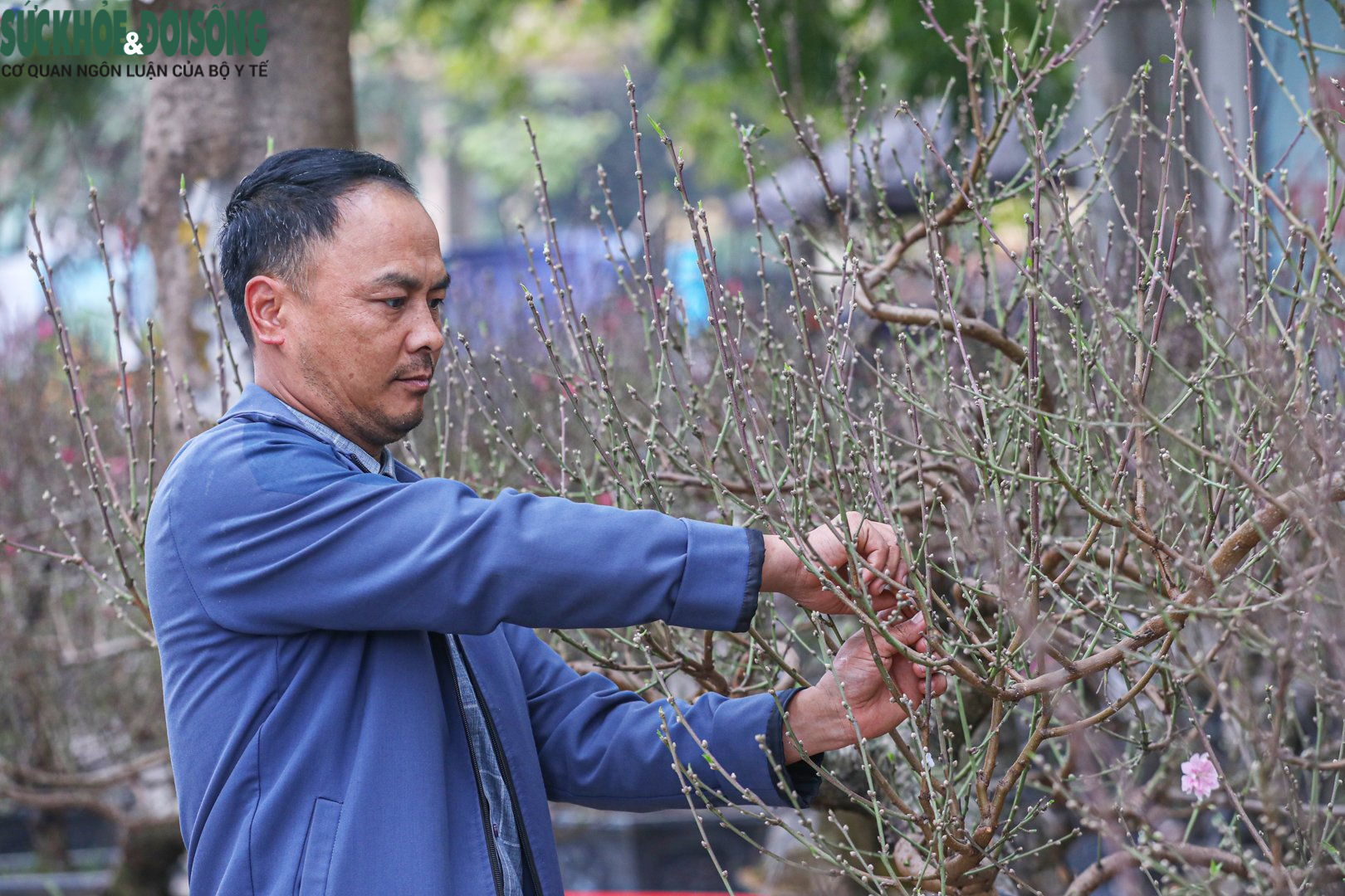 Nhiều &quot;siêu đào&quot; giá hàng chục, hàng trăm triệu đổ bộ xuống phố - Ảnh 15.