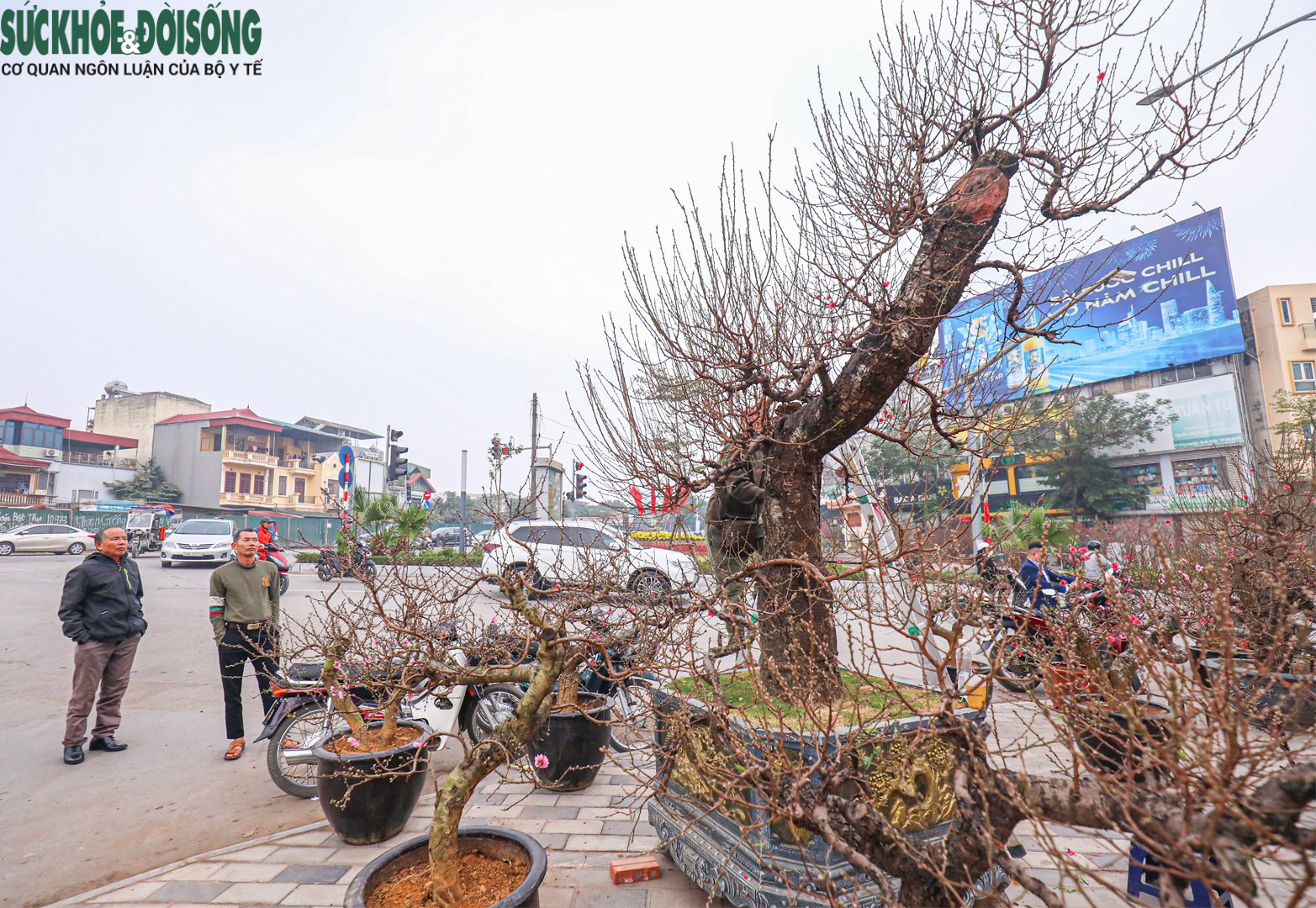 Nhiều &quot;siêu đào&quot; giá hàng chục, hàng trăm triệu đổ bộ xuống phố - Ảnh 16.