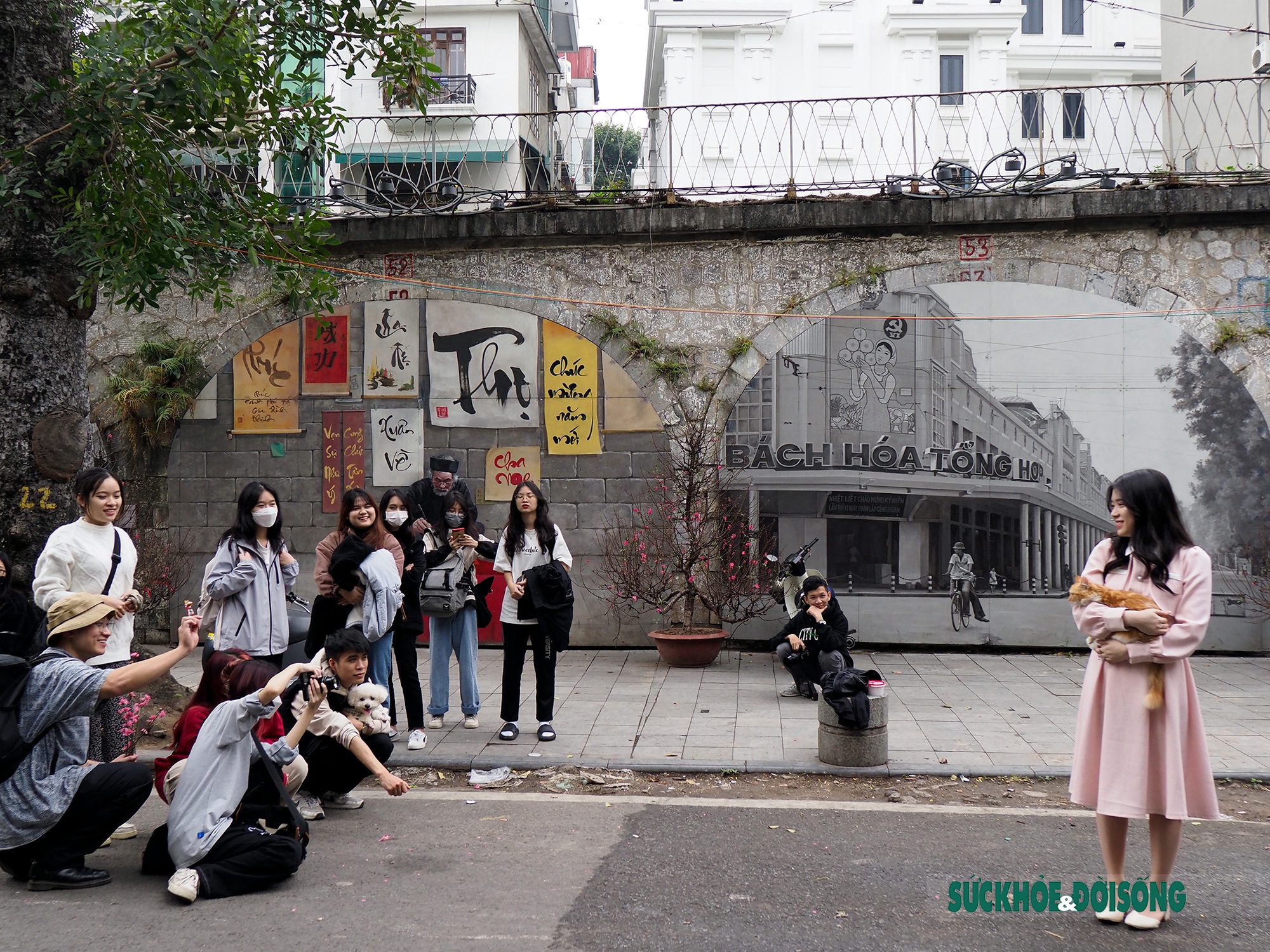 Giới trẻ mang &quot;mèo cưng&quot; đến phố bích họa Phùng Hưng check-in dịp Tết  - Ảnh 1.