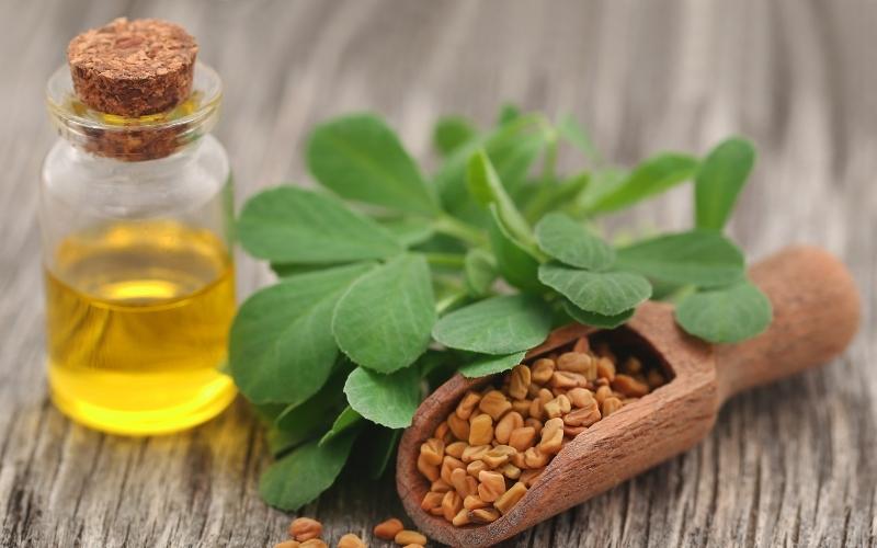 Dị ứng phấn hoa vào mùa xuân và các biện pháp ứng phó tại nhà