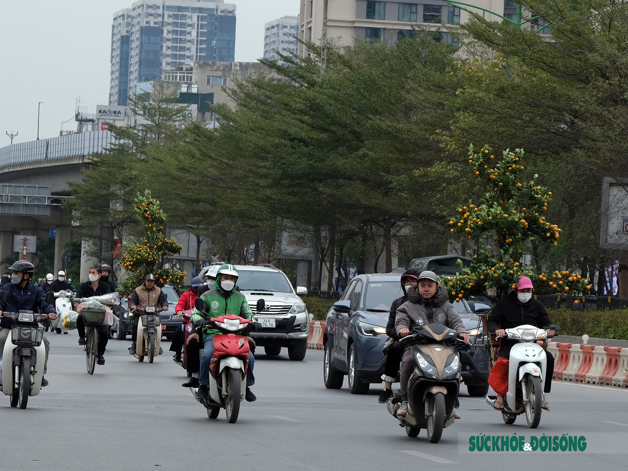 Đào, quất len lỏi giữa những làn xe kẹt cứng ngày cận Tết cổ truyền - Ảnh 7.