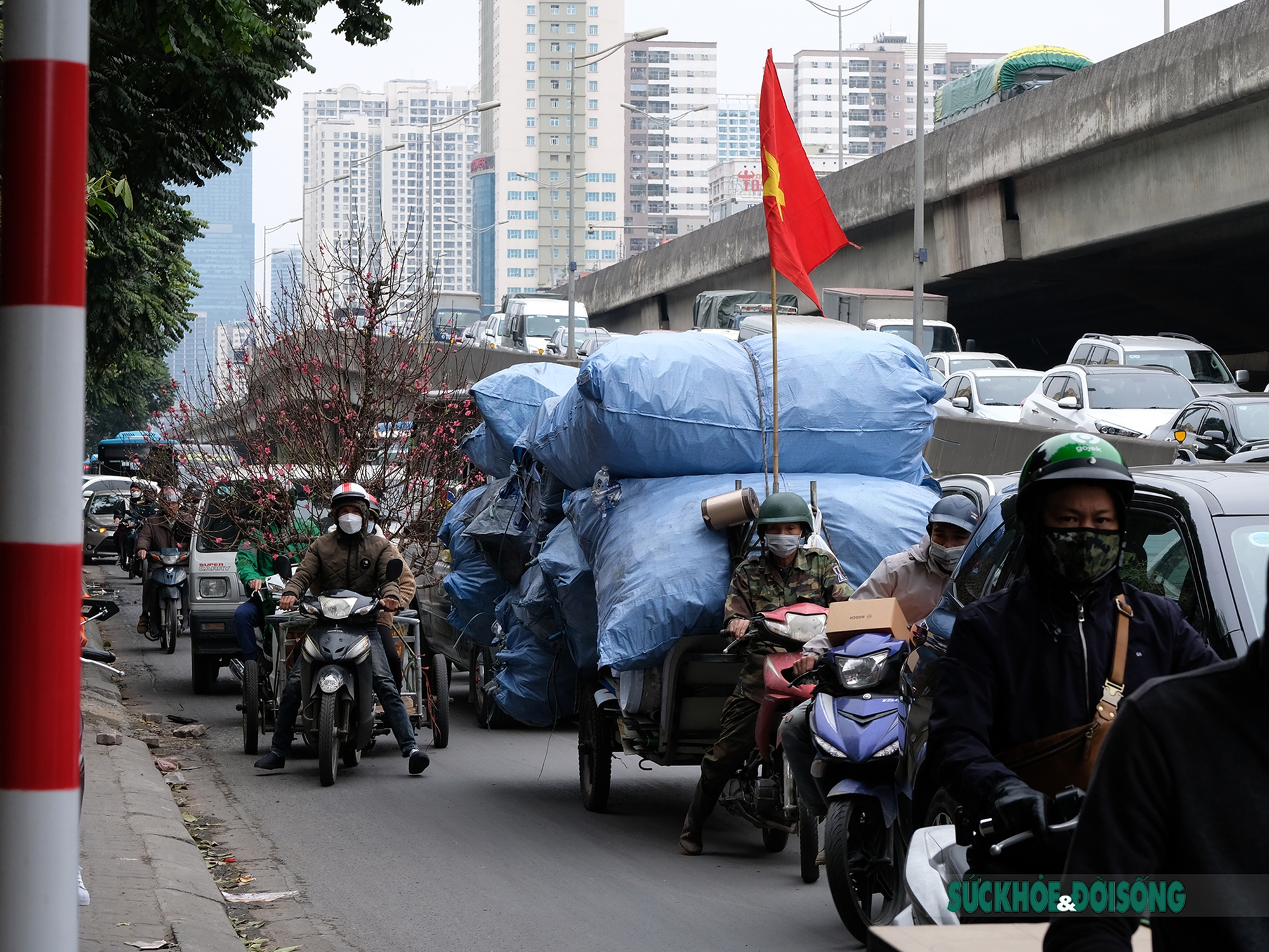 Đào, quất len lỏi giữa những làn xe kẹt cứng ngày cận Tết cổ truyền - Ảnh 2.